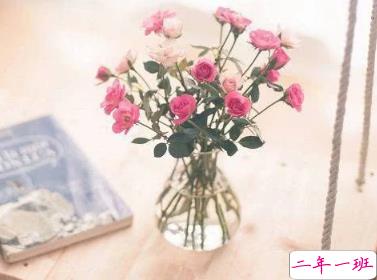 2019八月加油的说说 八月散发正能量的句子1