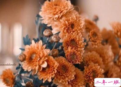 朋友圈经典说说唯美走心 生活的真谛在于快乐2