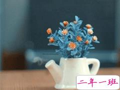 朋友圈经典说说唯美走心 生活的真谛在于快乐