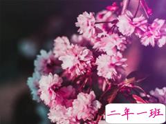 看了忍不住点赞的说说 很经典吸引人的微信说说