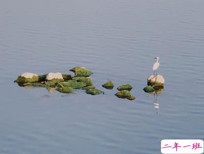 2020年最新朋友圈说说精选 有格调有气场的微信说说1