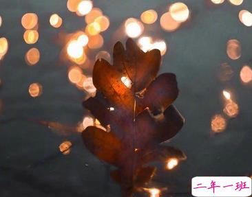 2019朋友圈超走心句子经典 心宽就是对自己最好的礼物2