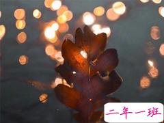 2019朋友圈超走心句子经典 心宽就是对自己最好的礼物