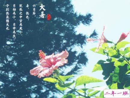 2019大暑节气经典说说祝福语 大暑节气好听的早安问候语1