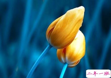 十分受益的励志经典说说 深入人心的励志句子2