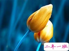 十分受益的励志经典说说 深入人心的励志句子