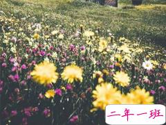 努力奋斗的说说致自己 积极向上很努力的句子