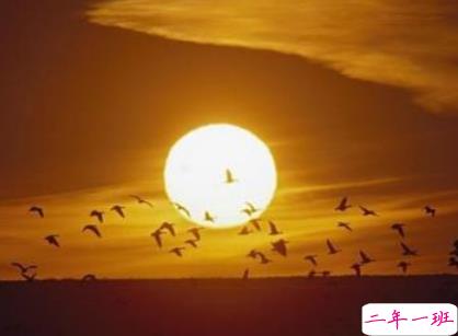 抖音霸气说说别人必评论 人生就是不停地战斗1