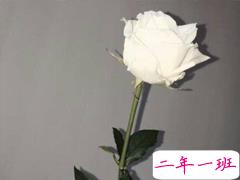 抖音流行的个性说说独一无二 好听又特别的说说大全