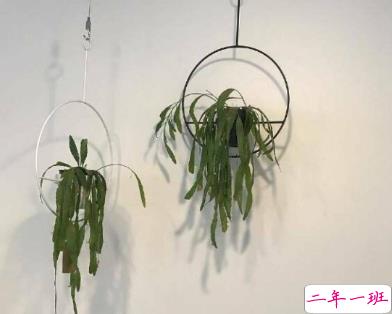 朋友圈发什么最受欢迎 高端大气的朋友圈经典说说 1