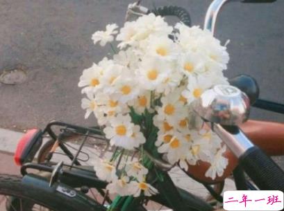 七月你好微信可爱句子 2019七月最可爱好听的qq说说精选1