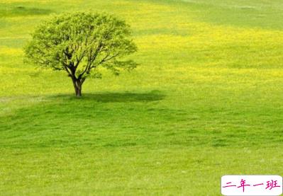 90后很个性的说说大全 发朋友圈的个性句子20191