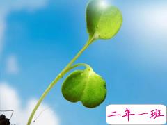 六月散发正能量的微信说说2019 一句话正能量说说