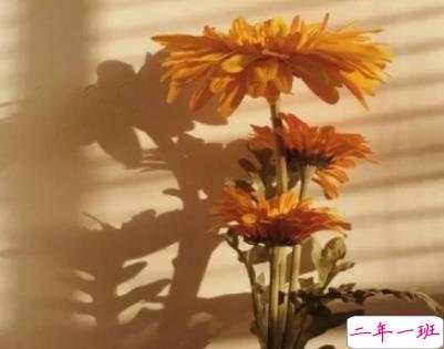 抖音说说短语霸气八字 网红霸气句子8字大全2