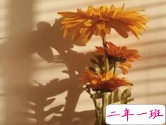 抖音说说短语霸气八字 网红霸气句子8字大全