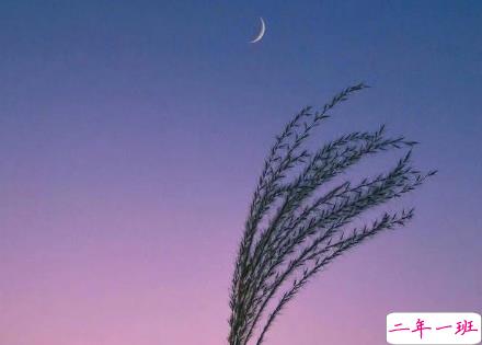 朋友圈很受欢迎的经典语录大全 微信一句话经典说说1