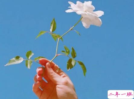 朋友圈很受欢迎的经典语录大全 微信一句话经典说说2