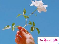 朋友圈很受欢迎的经典语录大全 微信一句话经典说说