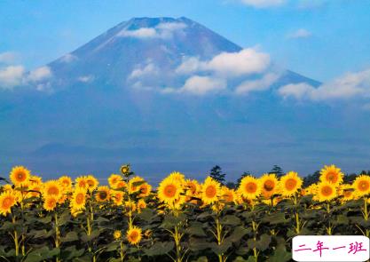 火爆朋友圈的经典说说 最新一句话经典说说人生感悟2