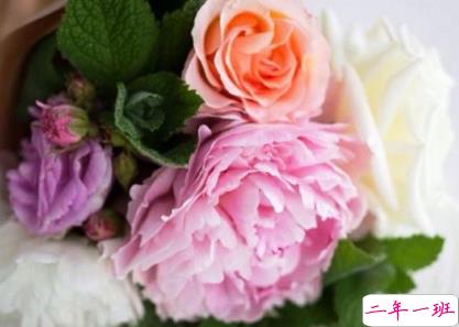 2019最新qq扩列宣言经典说说 qq扩列热门经典语录大全2