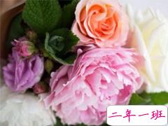 2019最新qq扩列宣言经典说说 qq扩列热门经典语录大全