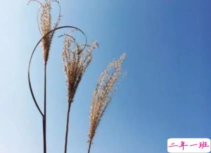 微博毒鸡汤经典语录合集 2019句句扎心的毒鸡汤2