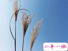 微博毒鸡汤经典语录合集 2019句句扎心的毒鸡汤