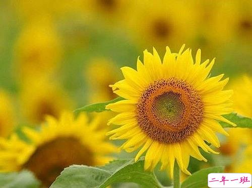 2019高考鼓励自己的一段话 高考加油经典说说致所有考生2