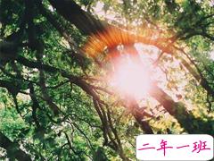 微信个性说说霸气独特 朋友圈点赞的火爆句子