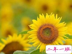 2019高考鼓励自己的一段话 高考加油经典说说致所有考生