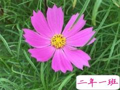 2019最新微信经典短句 今年很流行的经典语录