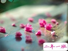 生活很现实的说说经典句子 多些付出少些期待