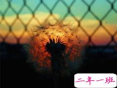 30条有道理的经典说说 简短但是道理深刻的句子大全