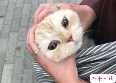 2019高智商怼人神句大全 一句话让对方哑口无言1