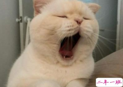 2019高智商怼人神句大全 一句话让对方哑口无言2