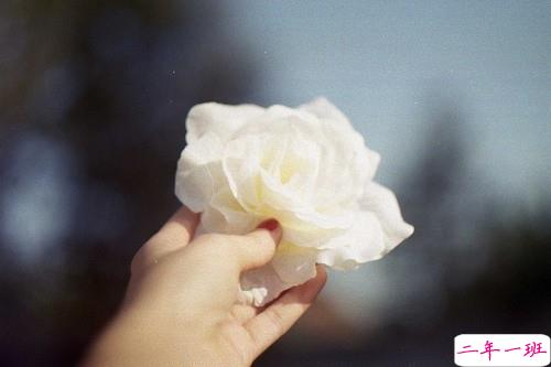 2019微信晚安说说经典大全 送给自己的晚安说说有哲理2