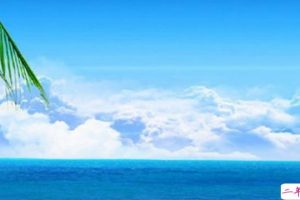 微信经典励志说说致自己 你的坚持最后都会有回报的