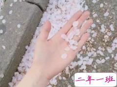 抖音上热门说说大全 抖音最火个性说说绝对精辟