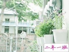 2019微信最火的说说 被点赞转发最高的30条说说