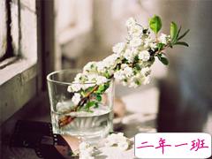 最新朋友圈经典说说2019精选 好听的微信经典说说