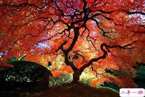 抖音最吸引人的经典说说 发朋友圈别人点赞必评的个性说说2