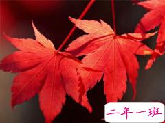 抖音最吸引人的经典说说 发朋友圈别人点赞必评的个性说说