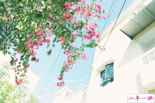 最近很火的一些女生经典说说 送给女孩子的28句话有道理2