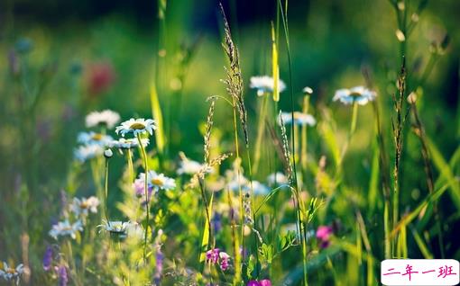 朋友圈个性说说简单一句话 趁着年轻把能干的坏事干了吧1