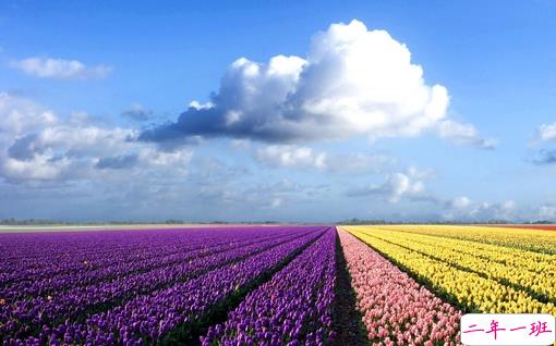 朋友圈个性说说简单一句话 趁着年轻把能干的坏事干了吧2