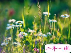 朋友圈个性说说简单一句话 趁着年轻把能干的坏事干了吧