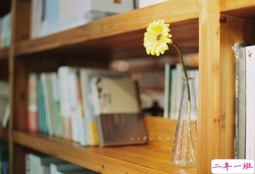 最新朋友圈简短经典说说 早安一句话励志温暖说说1