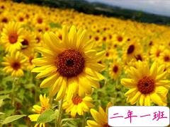 人生感悟说说剪短一点的 经历成长的经典说说合集