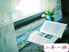 抖音火爆个性说说大全 男女相互忽悠叫爱情