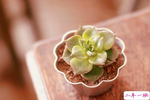 2019朋友圈经典说说大全 人生路上这些道理你必须懂得1